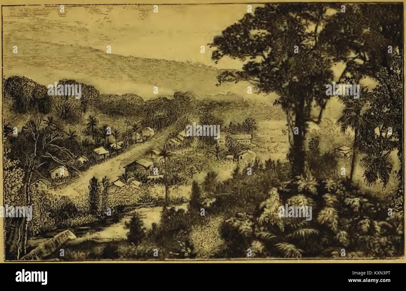 Eine historische Karte aus der Vogelperspektive, die die Stadt Victoria (heute Limbe) in Ambroises, Westafrika, darstellt und das Stadtbild und die umliegende Landschaft zeigt. Stockfoto