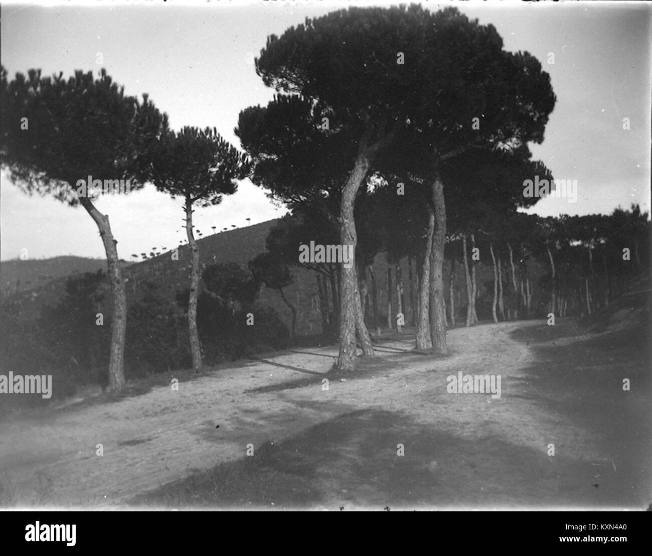 „Paisatge“ von Baldomer Gili Roig ist ein Landschaftsgemälde mit ausdrucksstarken Pinselstrichen und lebhaften Farben. Stockfoto