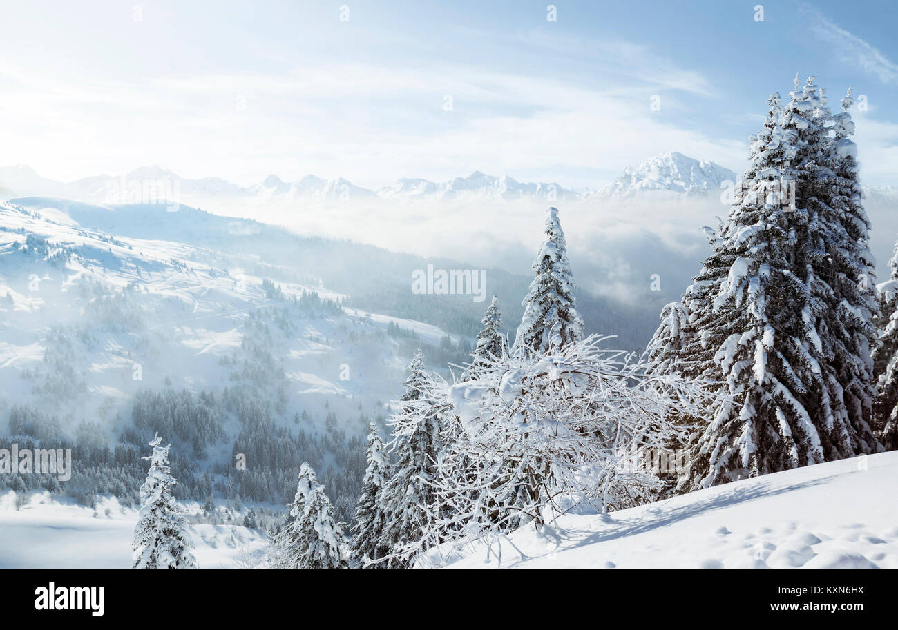 Malerischer Blick auf Schneebedeckte Bäume mit weit entfernten nebligen Tal und die schneebedeckten Berge Stockfoto