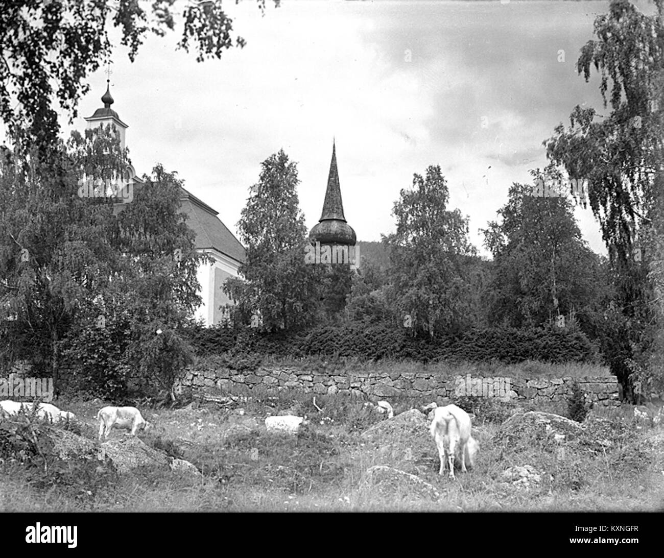 Die Kirche Borgsjö in Schweden ist eine 1772 erbaute Kirche im Rokoko-Stil. Es verfügt über einen hölzernen Uhrenturm, der als „König der nordischen Holztürme“ bekannt ist, und beherbergt Skulpturen von St. Olav. Die Kirche befindet sich an der Pilgerroute St. Olav und in der Nähe der Quelle St. Olav. Stockfoto