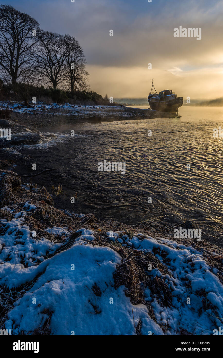 Schiffswrack im Nebel Stockfoto