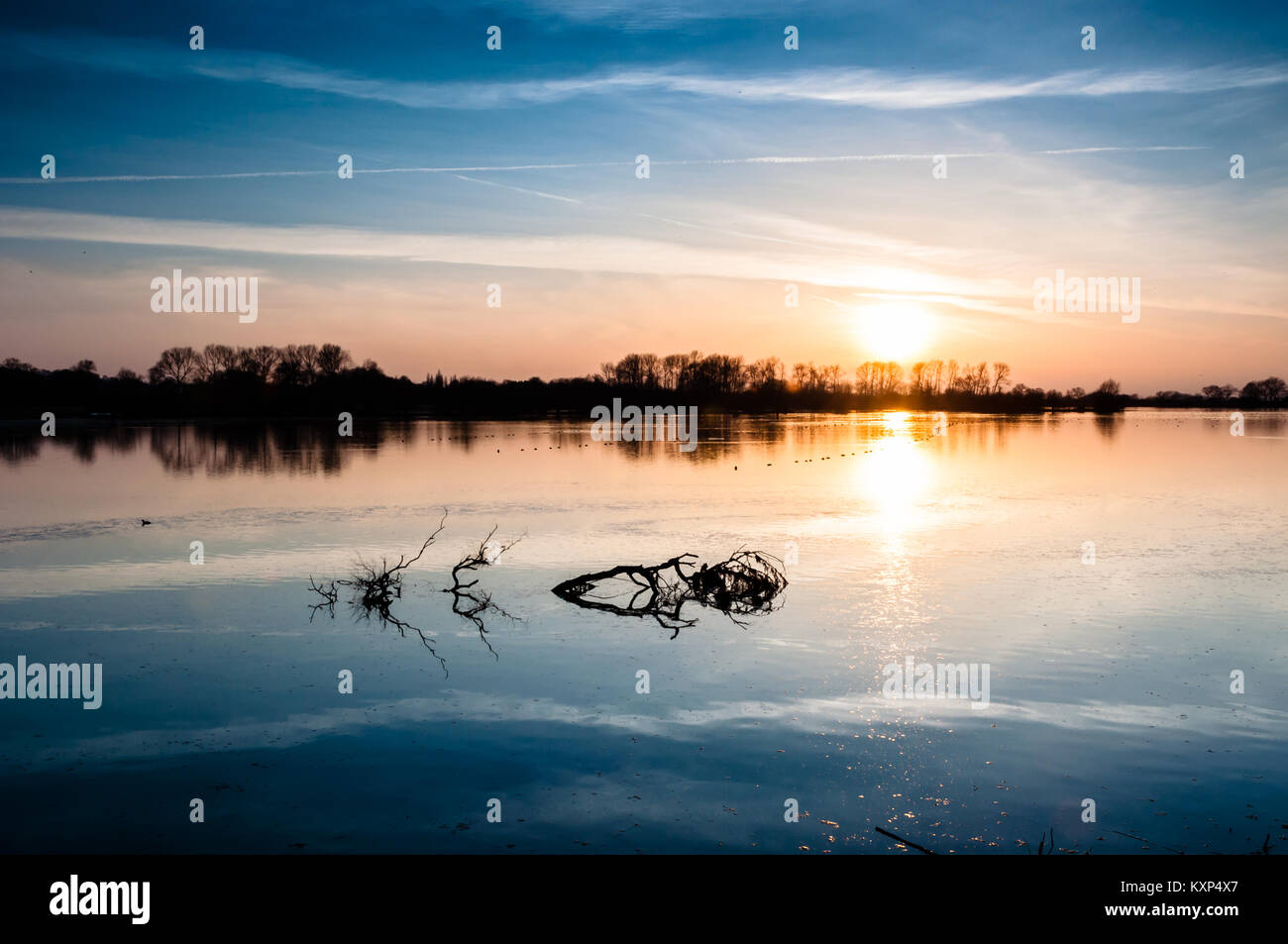 Schönen Sonnenuntergang in frühen Wilstone macrh am Stausee in Hertfordshire, England, heute ein Naturschutzgebiet. Stockfoto