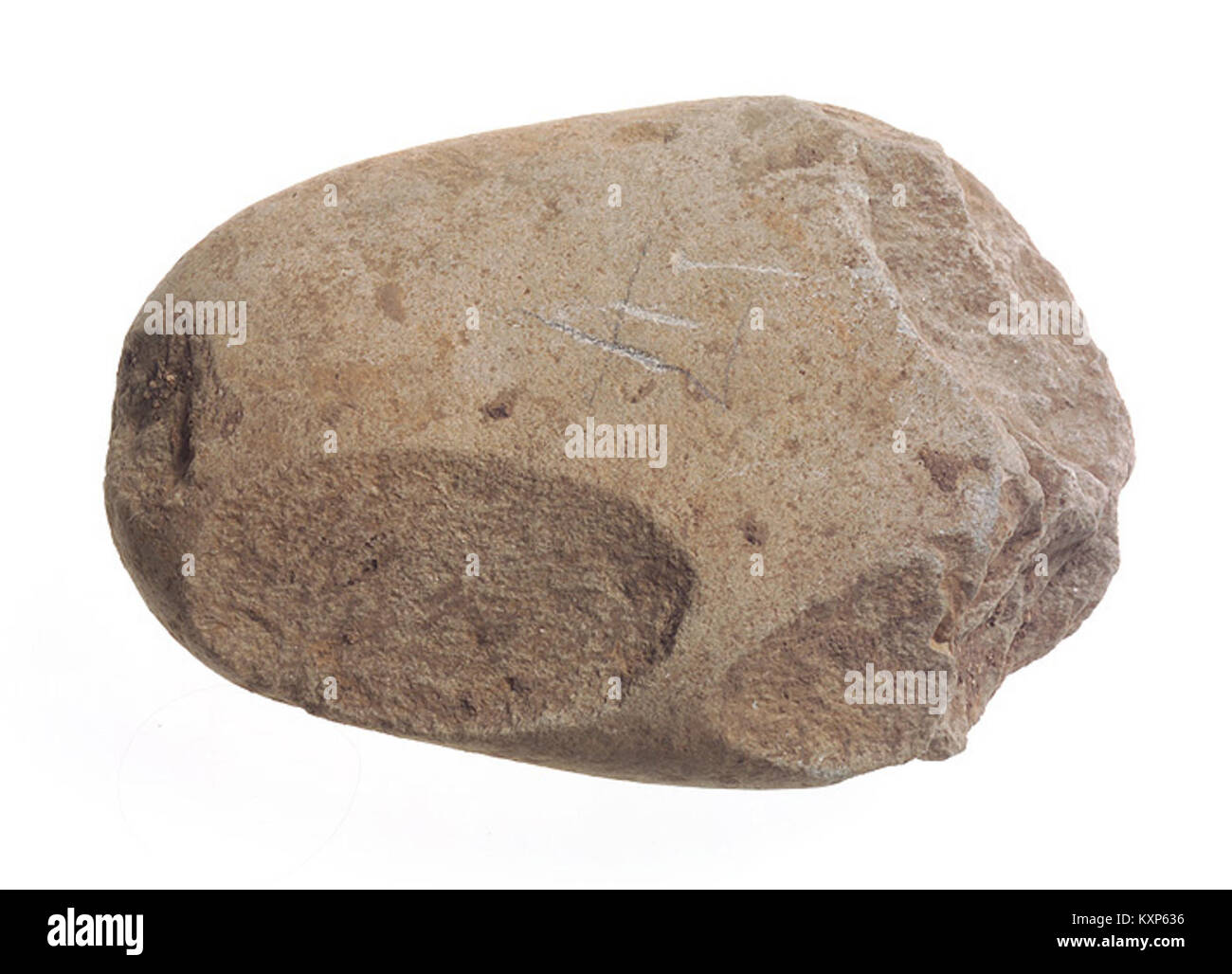 Das in Plouhinec gefundene Häckslerartefakt aus dem Unterpaläolithikum steht im Musée de Bretagne und repräsentiert prähistorische Werkzeugtechnik und archäologische Untersuchungen. Stockfoto