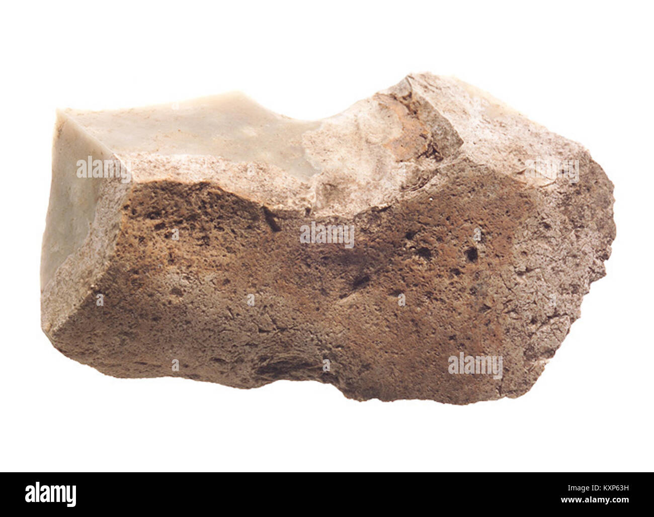 Die Encoche Plouhinec, ein niederpaläolithisches Artefakt aus Plouhinec, Frankreich, zeigt die frühe Verwendung menschlicher Werkzeuge und befindet sich in der Sammlung des Musée de Bretagne. Stockfoto