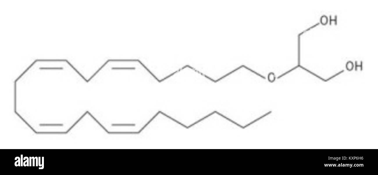 Endocannabinoid Struktur - 2 - Arachidonyl glyceryl ether (2) Typ Stockfoto