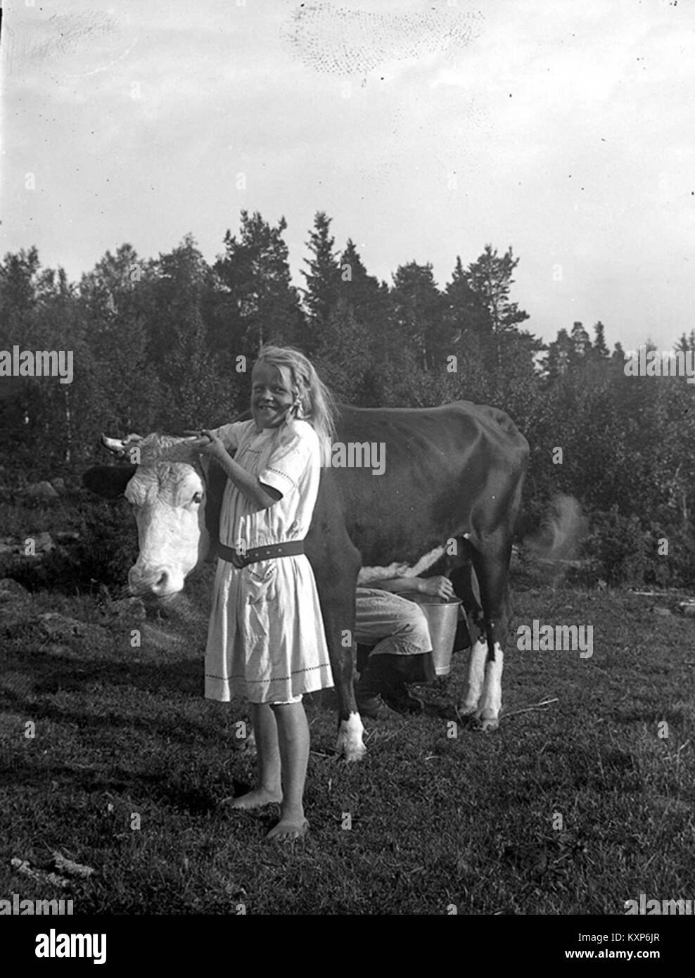 En flicka håller en ko i Hornen och en kvinna mjölkar-Nordiska Museet-NMA. 0057532 Stockfoto
