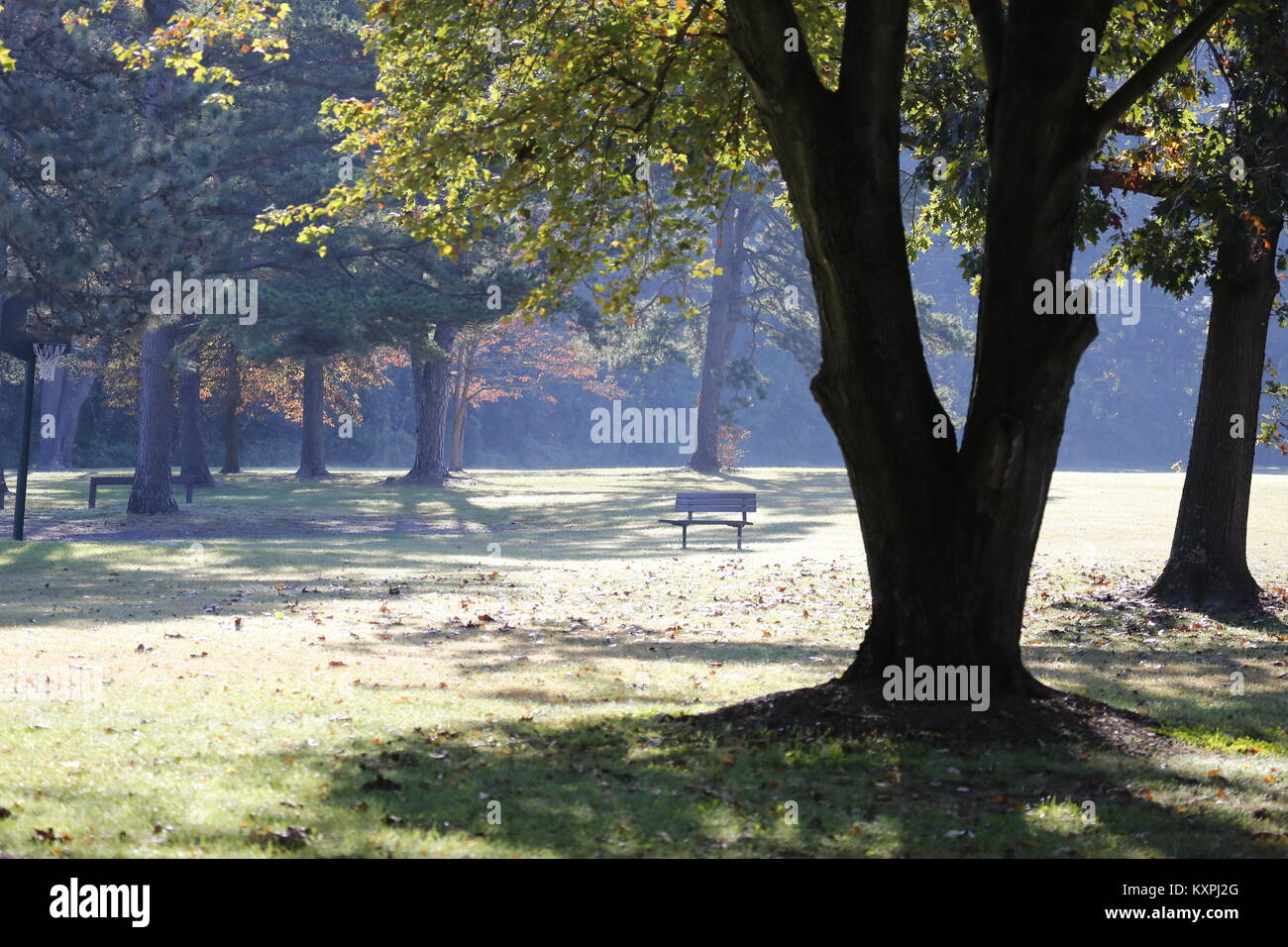 Zuwinken Parkbank Stockfoto