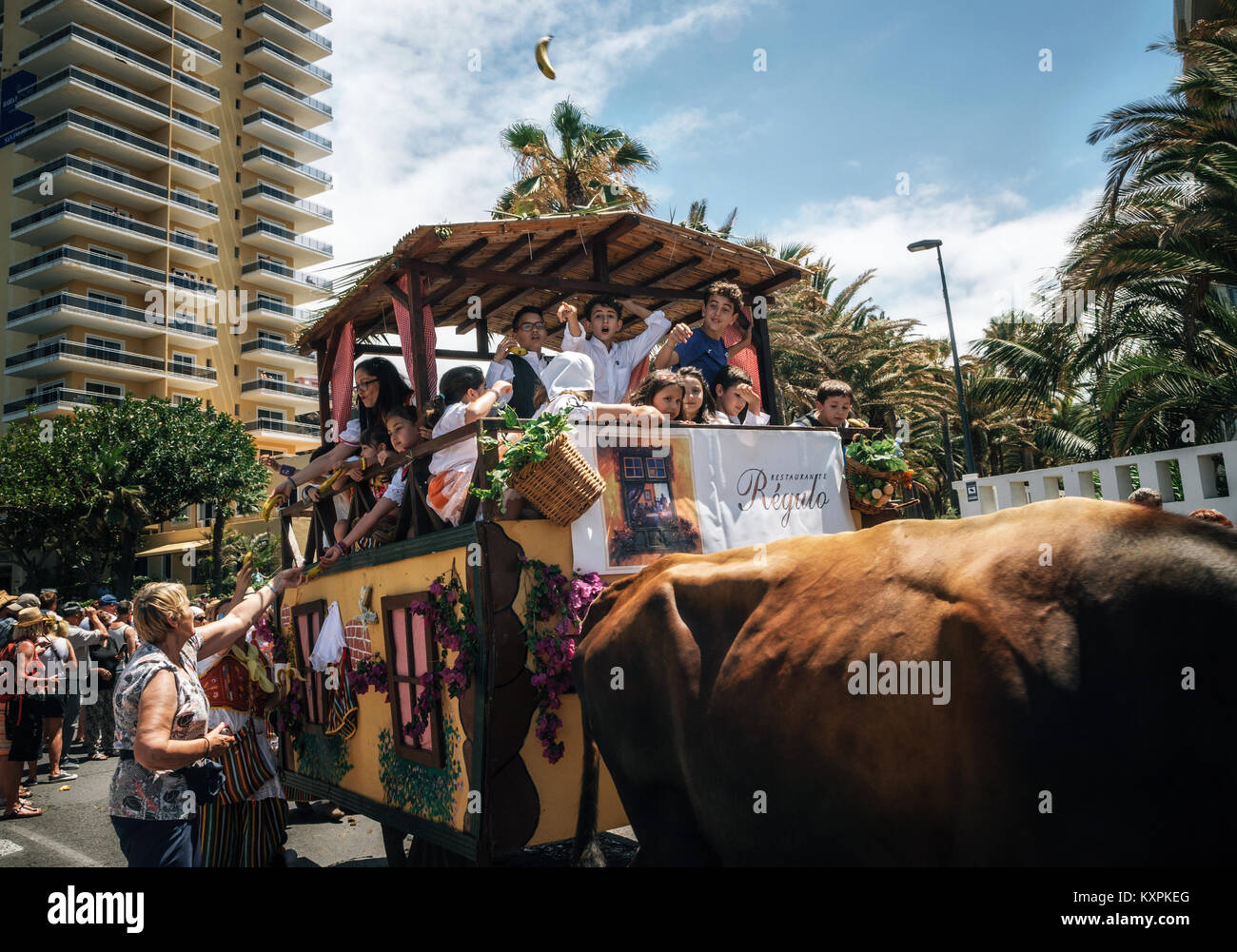 Puerto de la Cruz, Teneriffa, Kanarische Inseln, Spanien - 30. Mai 2017: Eingerichtet Stier gezogenen Wagen und Canarias Menschen in traditionellen Kleidung teilnehmen Ich Stockfoto