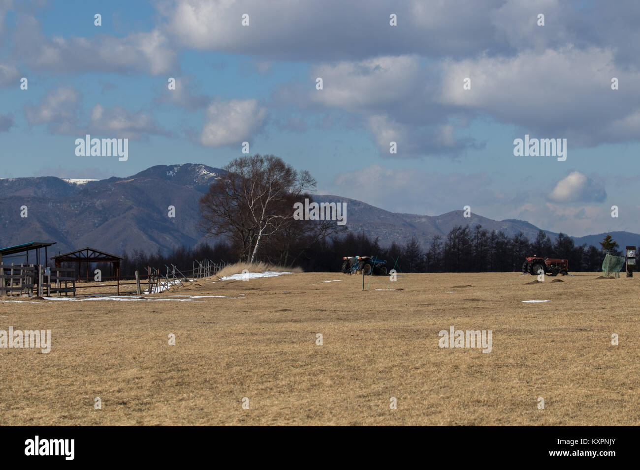 Nagano City (長野) ist die Hauptstadt der Präfektur Nagano. Es entwickelte sich als Stadt um Zenkoji Tempel, einer der beliebtesten Japans Tempel Stockfoto