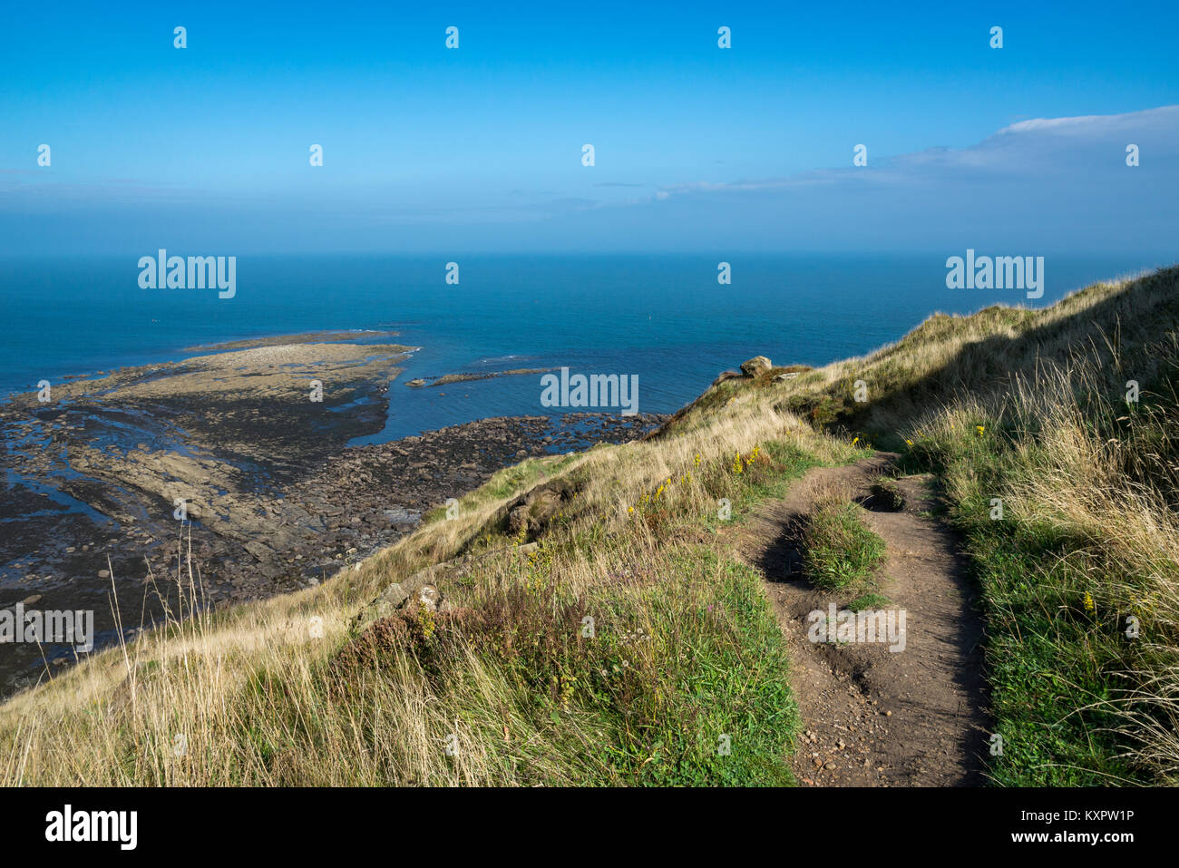 Schöne Küstenlinie bei Ravenscar mit Blick auf Robin Hood's Bay, North Yorkshire, England. Stockfoto