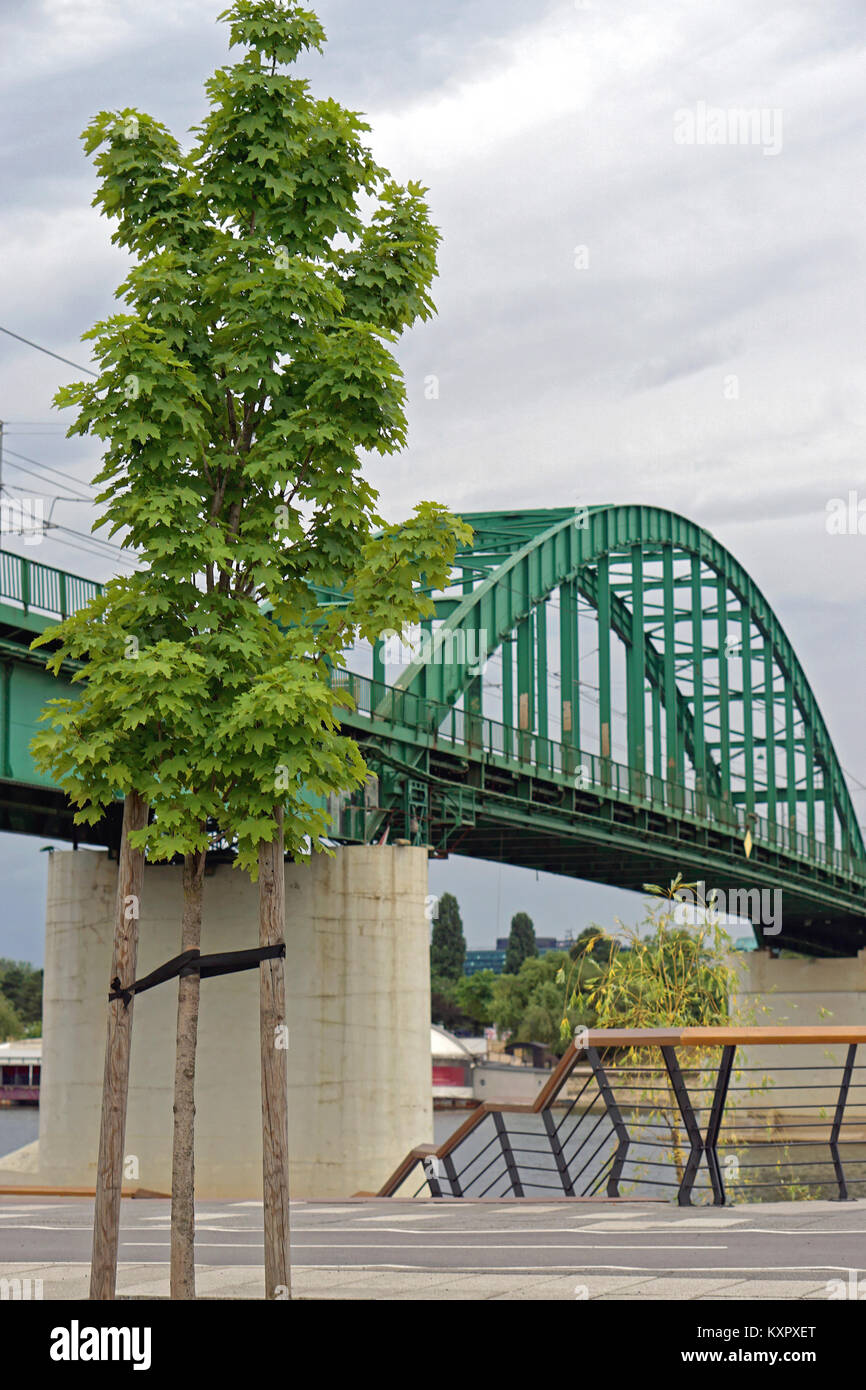 Grüne stahl Bogenbrücke in Belgrad Stockfoto