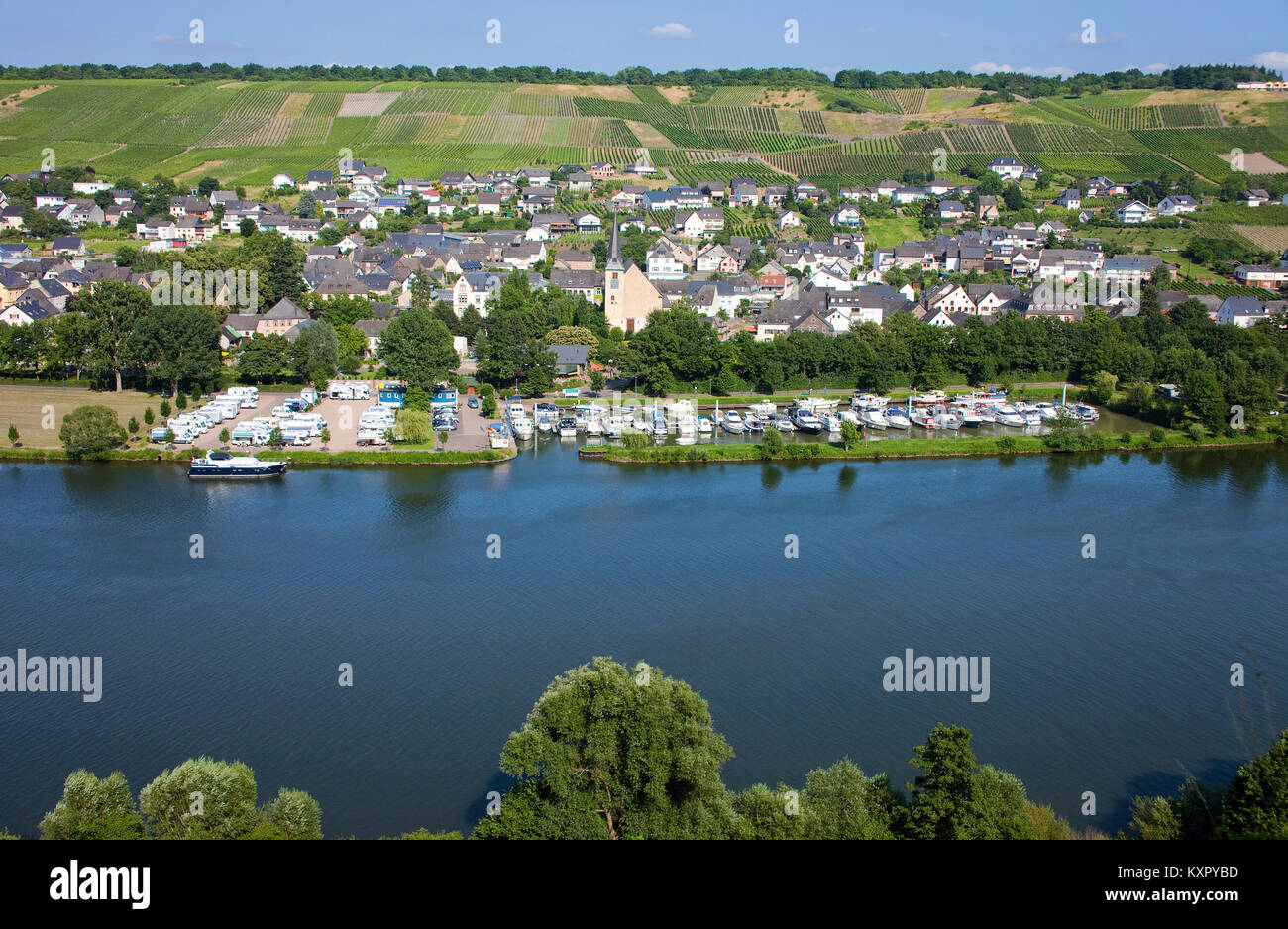 Dorf und Marina an der Mosel, Neumagen-Dhron, ältesten Weinort Deutschlands, Rheinland-Pfalz, Deutschland, Europa Stockfoto