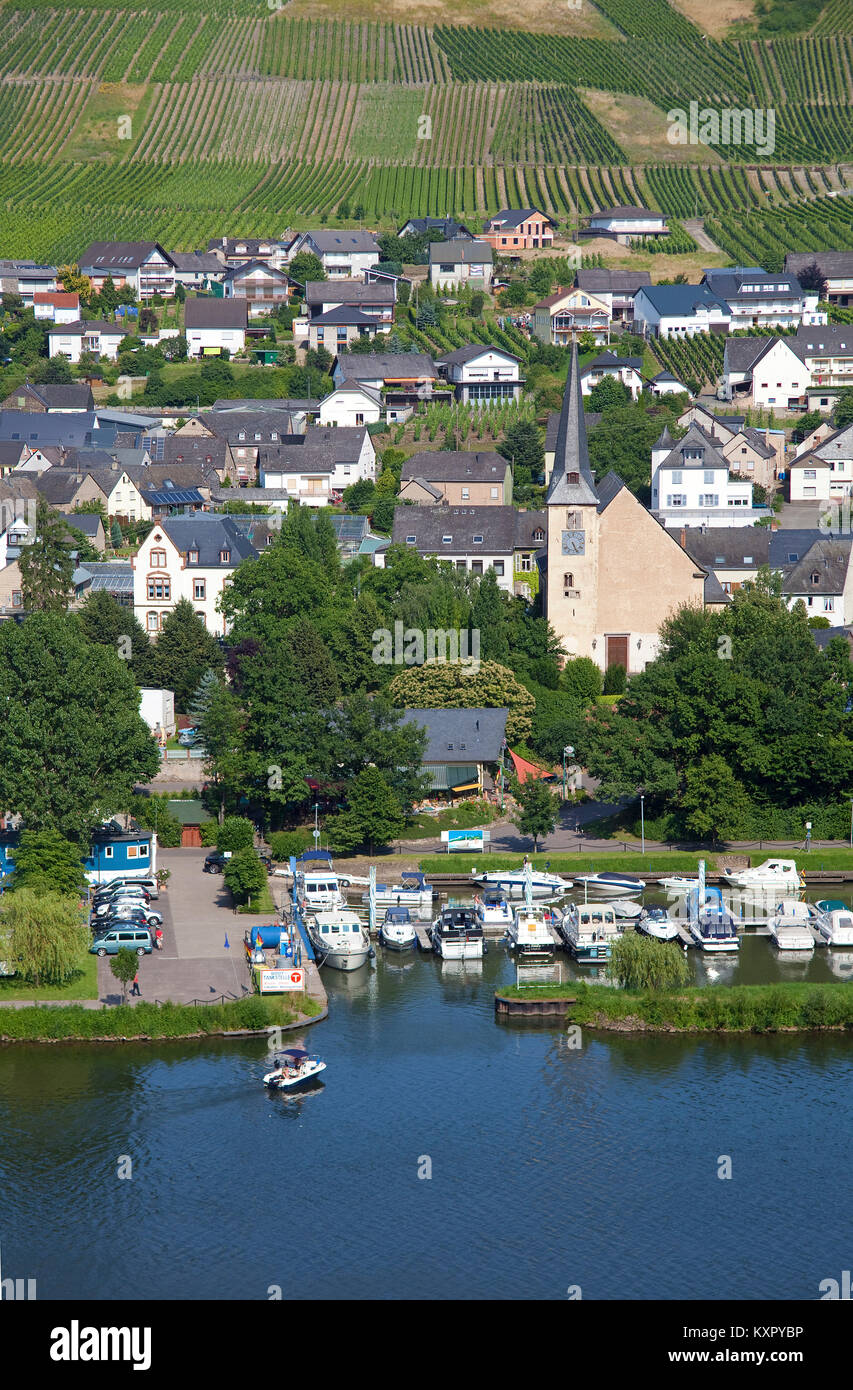 Dorf und Marina an der Mosel, Neumagen-Dhron, ältesten Weinort Deutschlands, Rheinland-Pfalz, Deutschland, Europa Stockfoto