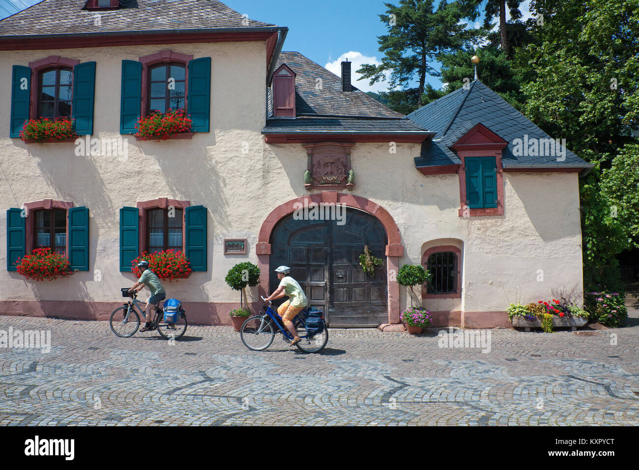 Radfahrer bestehen Der einzellage "Klaus Krebs' in Neumagen, Mosel, Rheinland-Pfalz, Deutschland, Europa Stockfoto