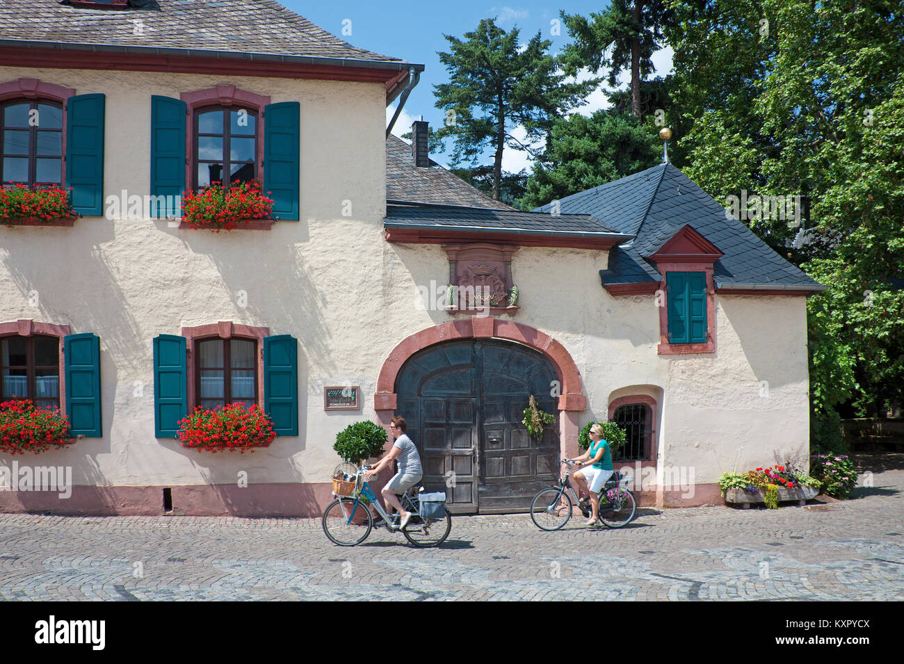 Radfahrer bestehen Der einzellage "Klaus Krebs' in Neumagen, Mosel, Rheinland-Pfalz, Deutschland, Europa Stockfoto