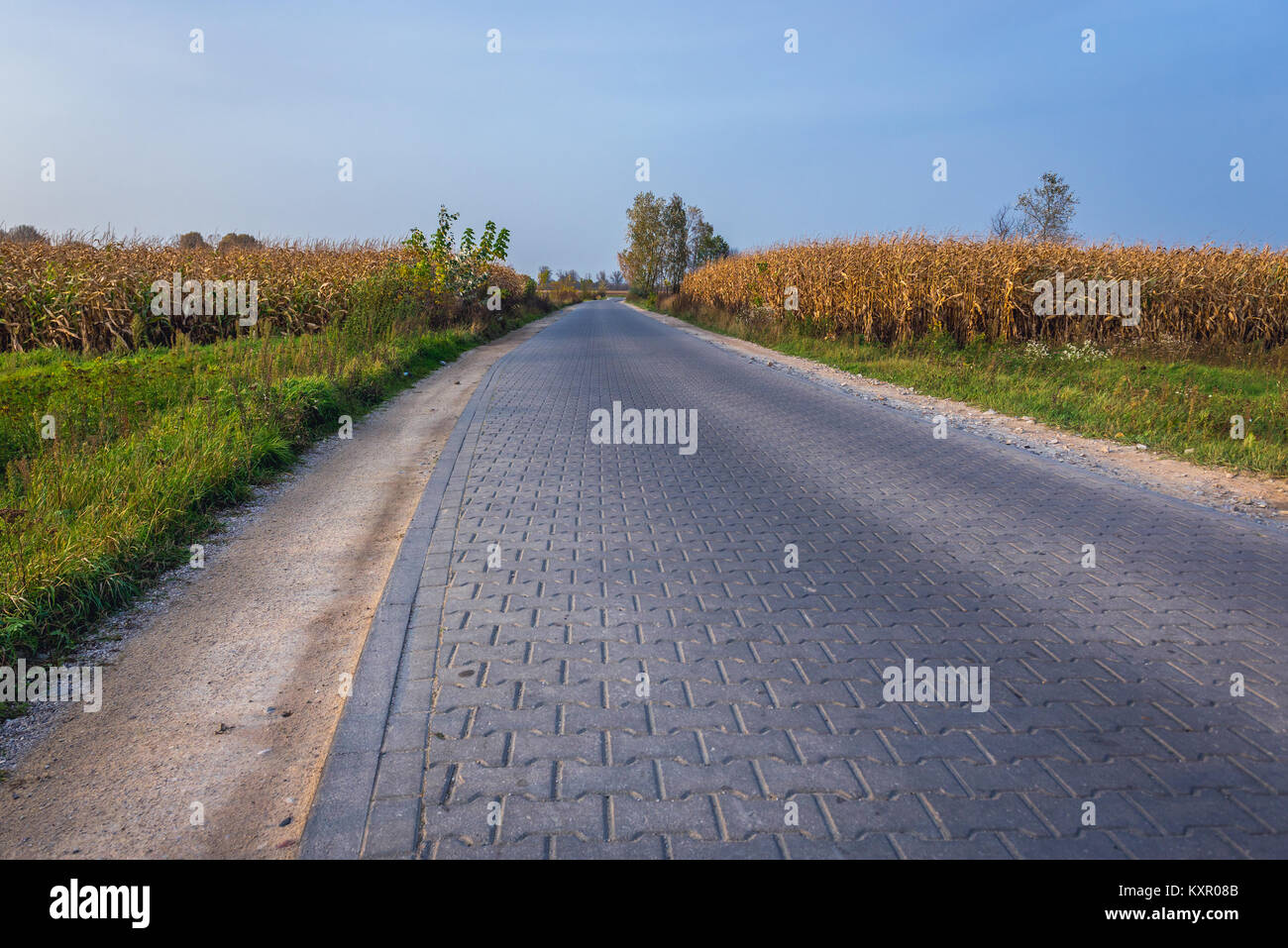 Moderne Pflastersteine Straße in Brochow Dorf, Sochaczew Grafschaft in der Woiwodschaft Masowien in Polen Stockfoto