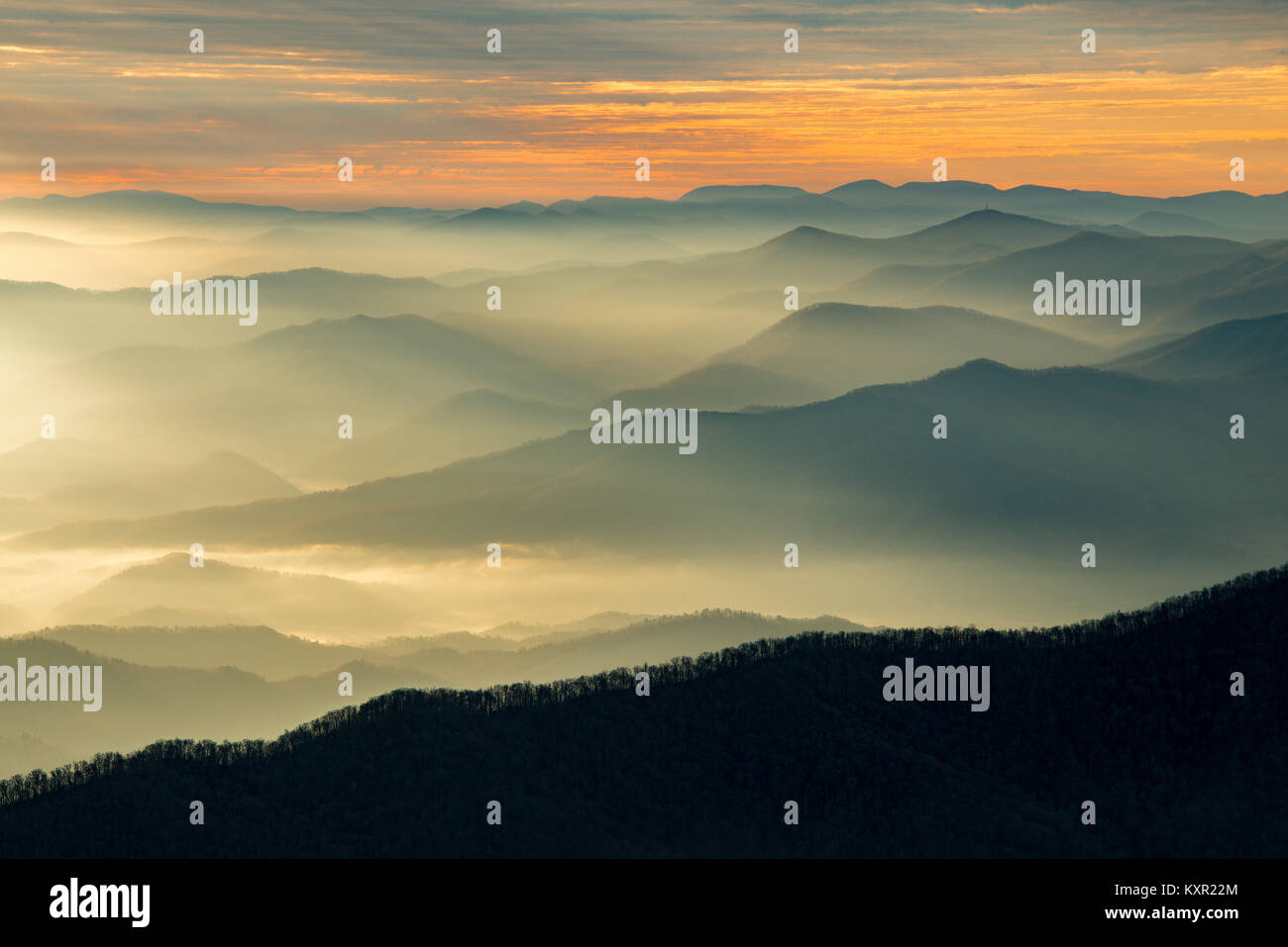 Sonnenaufgang von Clingman's Dome, Great Smoky Mountains NP, TN, USA, von Bill Lea/Dembinsky Foto Assoc Stockfoto