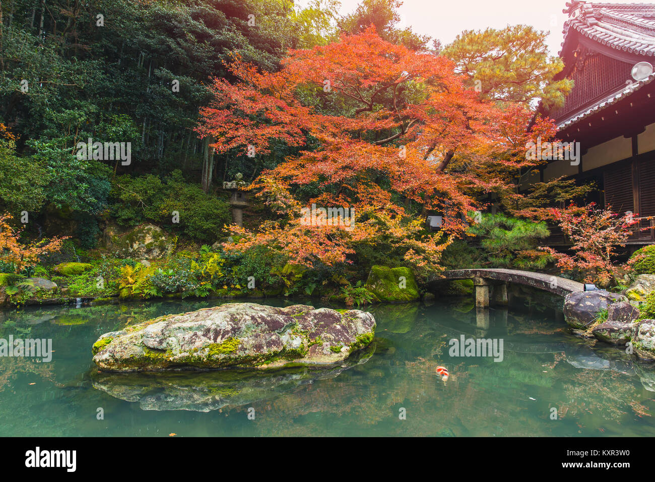 Schönen Herbst Teich mit Koi Fish japan Garten Nanzen-ji-Tempel Stockfoto