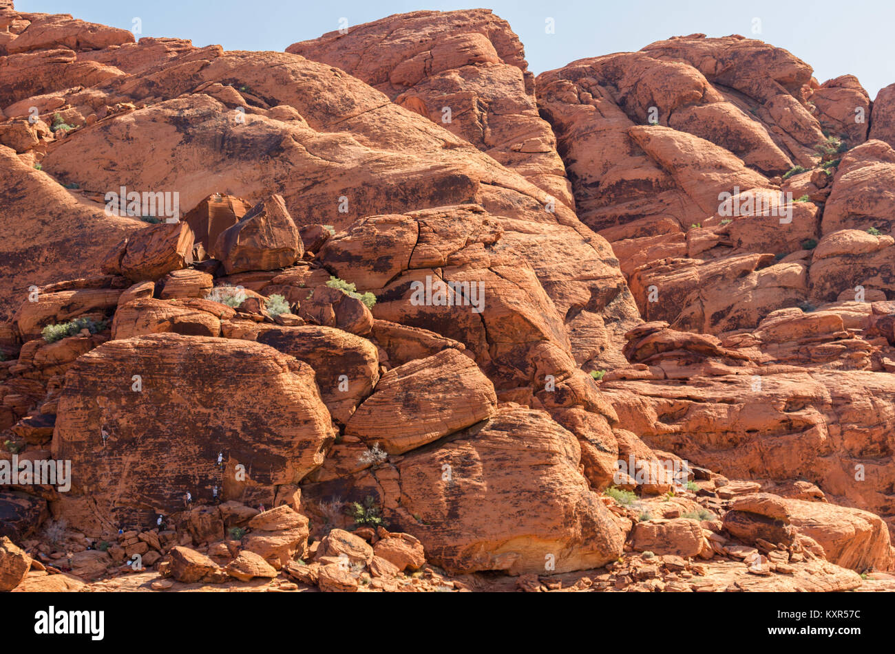 Kletterer Aufsteigen einer Klippe in Red Rock National Conservation Area. Las Vegas, Nevada Stockfoto