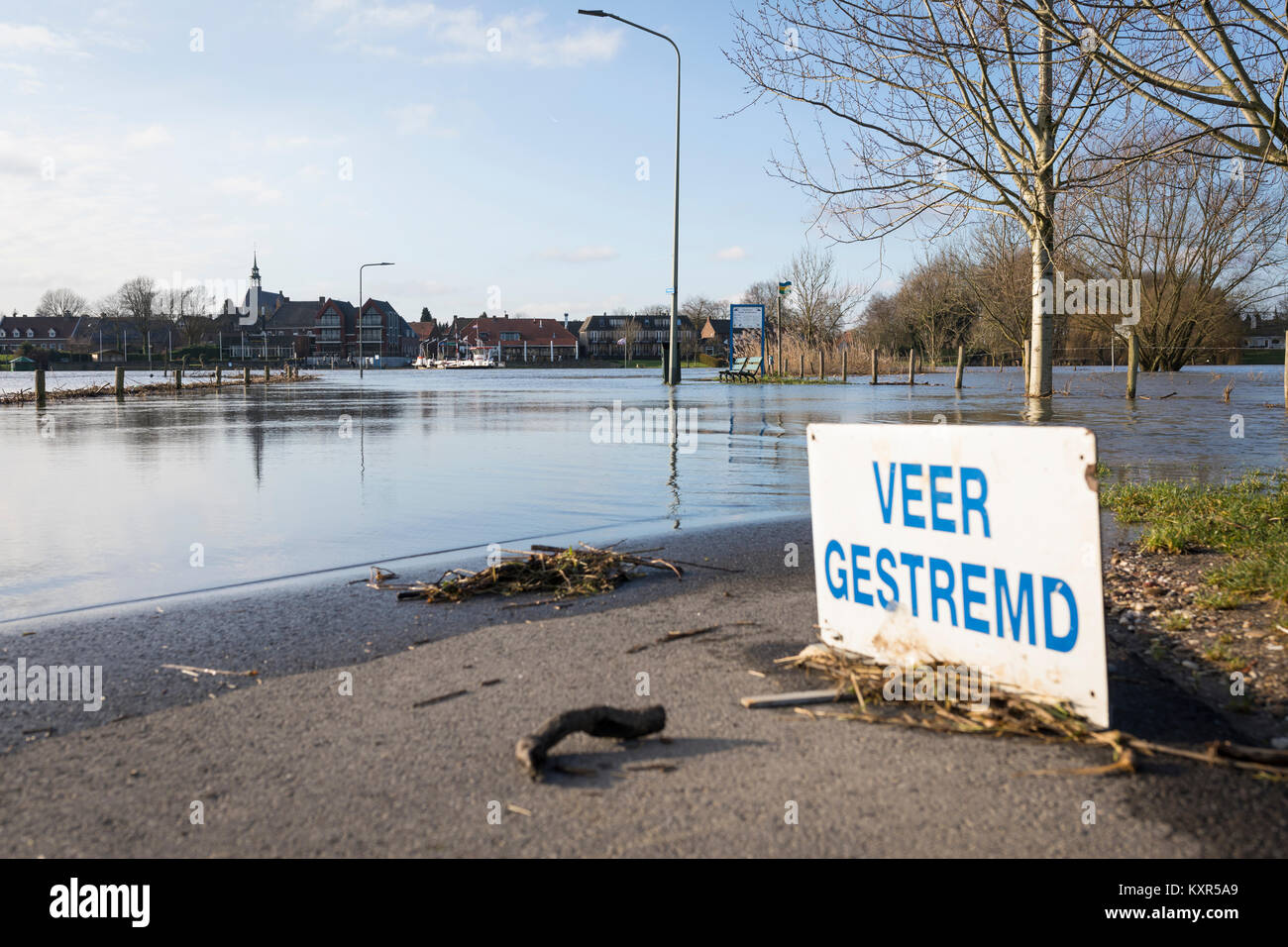 Hoher Wasserstand an der Maas mit überschwemmten Ferry Quay und ertrank Bäume in Baarn, Niederlande Stockfoto