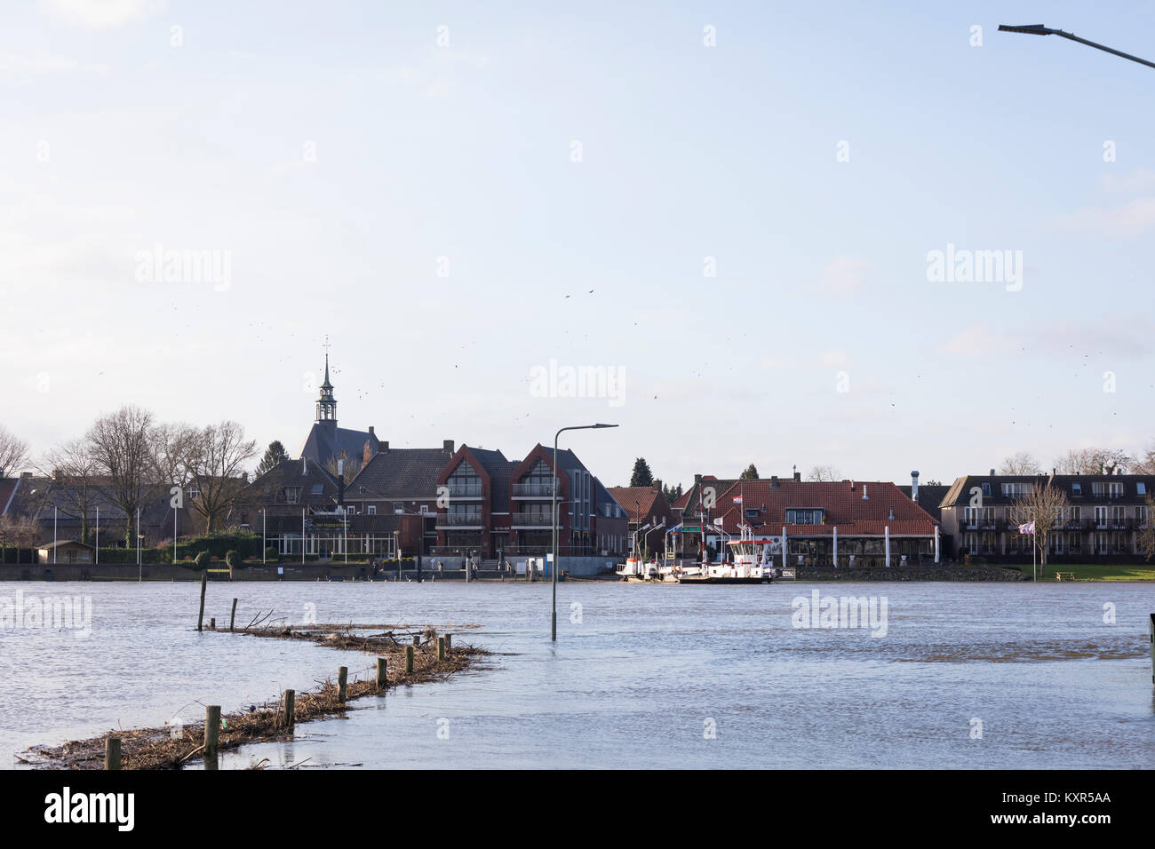 Hoher Wasserstand an der Maas mit überschwemmten Ferry Quay und ertrank Bäume in Baarn, Niederlande Stockfoto