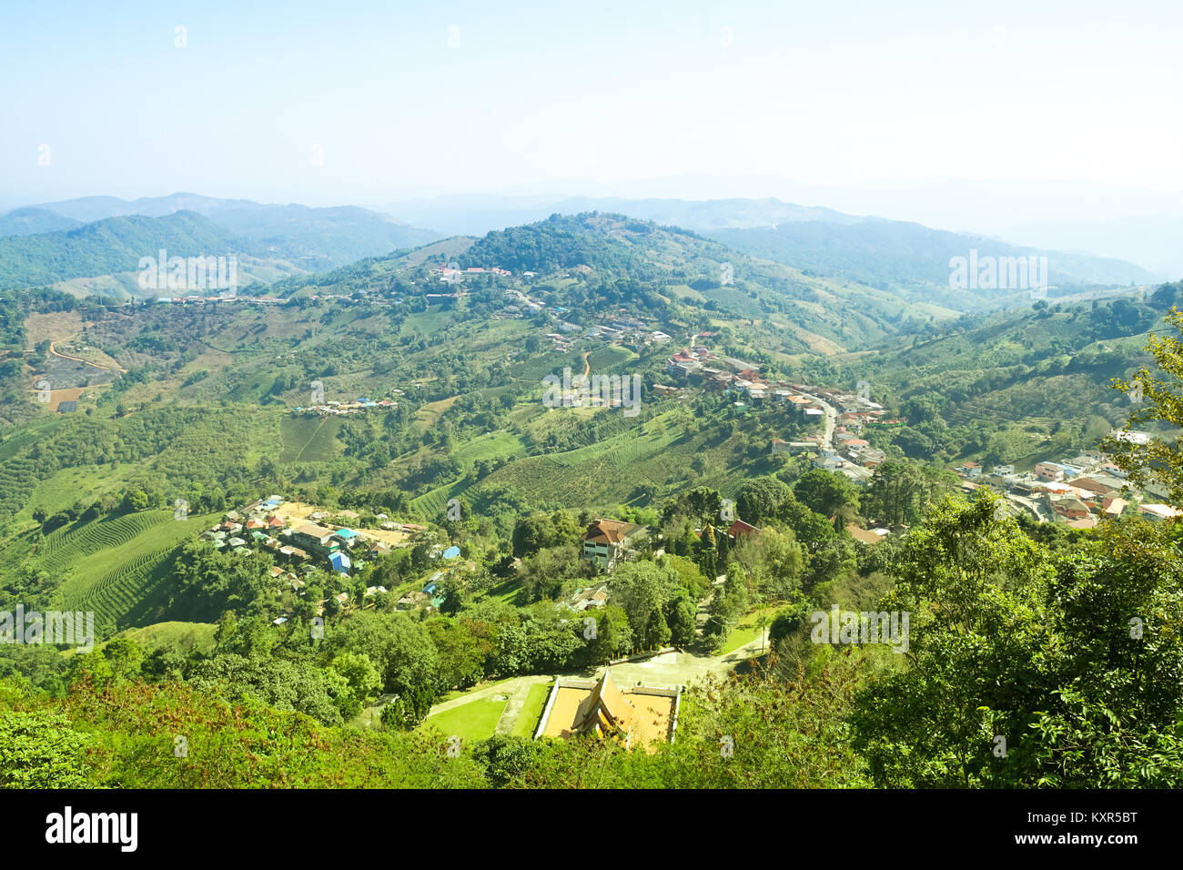 Blick in die Natur Berg, Wald und blauem Himmel in Doi Mae Salong, Chiang Rai Thailand Stockfoto
