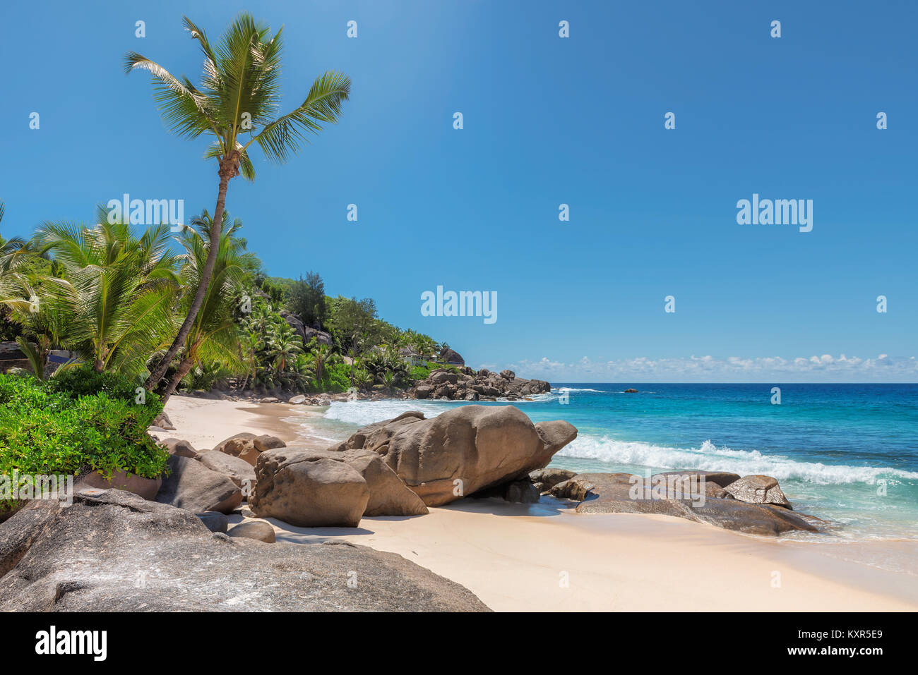 Seychellen Strand mit Palmen und schöne Steine. Stockfoto