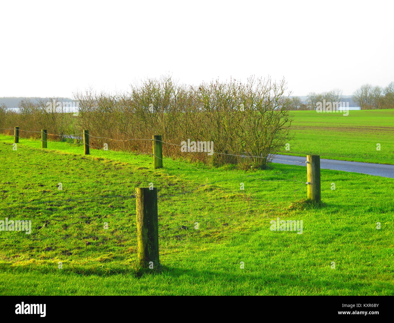 Zaunpfosten und grünes Gras von Lane zu Flensburger Förde im südlichen Dänemark Stockfoto