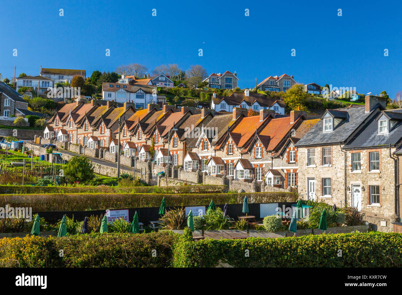 Gemeinsame Lane ist ein steiler Hügel mit einer Terrasse von identischen Häusern in Bier auf der Jurassic Coast, Devon, England, UK gefüttert Stockfoto