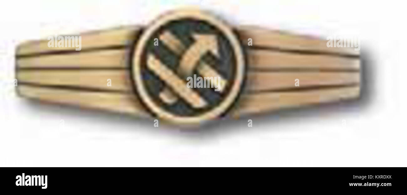 Das Bild zeigt ein BW Tätigkeitsabzeichen, ein deutsches Militärabzeichen, das für bestimmte Dienstaufgaben vergeben wird. Das Abzeichen symbolisiert militärische Leistungen und Beiträge innerhalb der deutschen Streitkräfte. Stockfoto