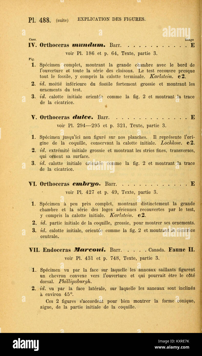 Eine wissenschaftliche Studie über Kopffüßer, die Anatomie, Klassifikation und Verhalten von Tintenfischen, Tintenfischen und verwandten Meeresmuscheln detailliert beschreibt. Stockfoto