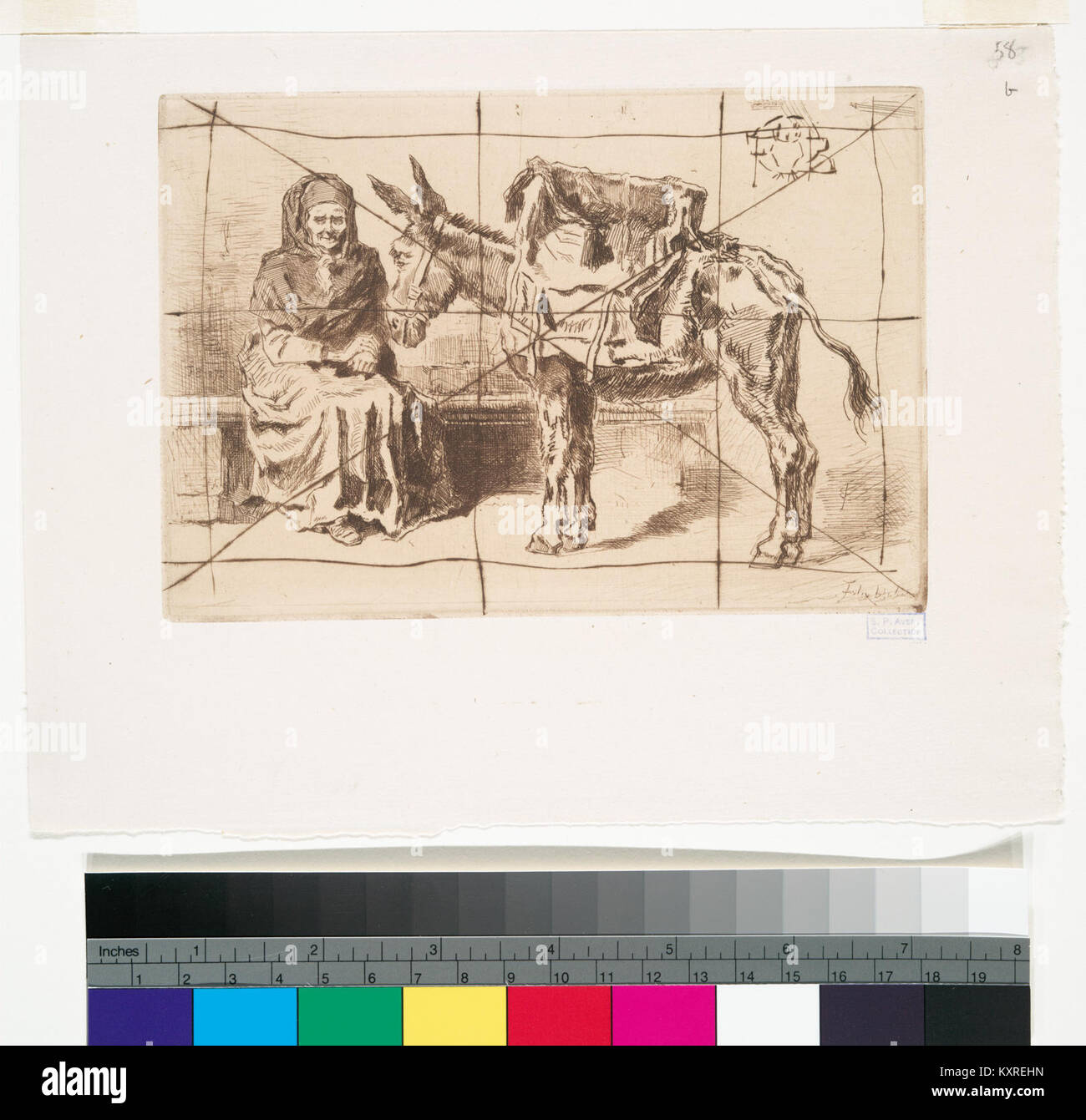 Ein historisches Foto, das eine sitzende Cacoletière, eine Eselin oder Maultierfahrerin, darstellt, die im 19. Jahrhundert in Nordafrika oder im Nahen Osten häufig zu sehen ist. Stockfoto