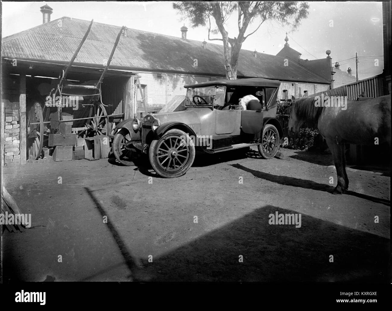 Historisches Foto aus dem Powerhouse Museum, das ein Pferd und ein frühes Auto zeigt, das vor einem Gebäude geparkt ist und das Nebeneinander traditioneller und moderner Transportmethoden veranschaulicht. Stockfoto