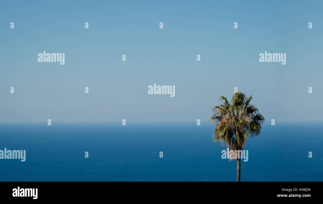 Palm Tree mit Blick aufs Meer und blauer Himmel Hintergrund Stockfoto