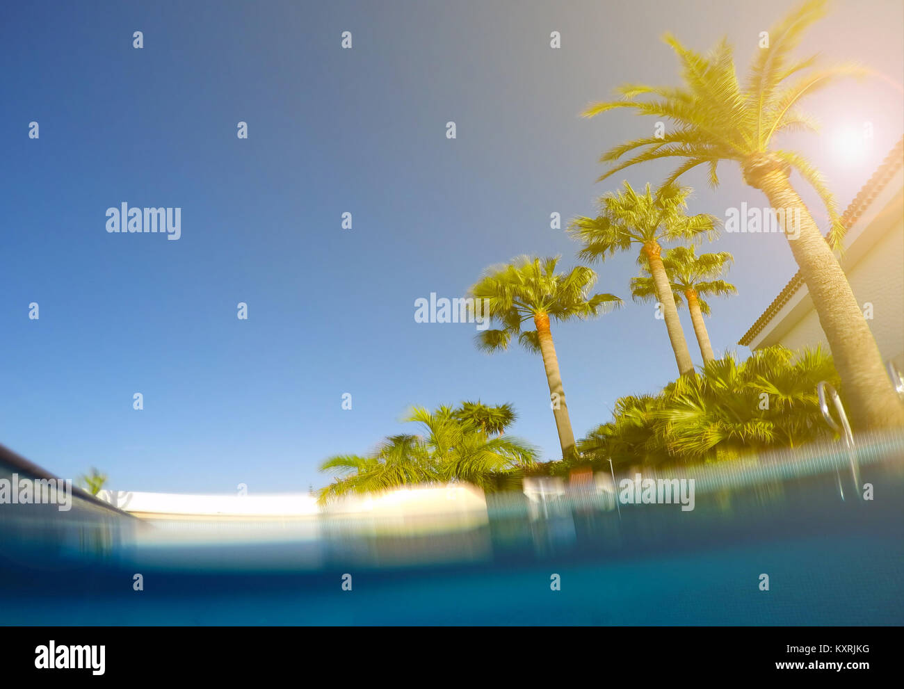 Swimmingpool, Palmen und sonnigen blauen Himmel Stockfoto