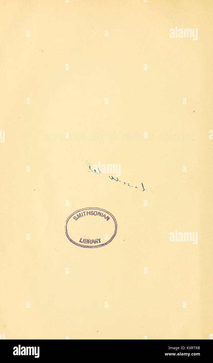 Eine wissenschaftliche Studie mit Schwerpunkt auf der Gattung Triatoma, Insekten, die als Triatominkäfer bekannt sind, die Vektoren der Chagas-Krankheit sind und zur Erforschung tropischer parasitärer und vektorübertragener Krankheiten beitragen. Stockfoto