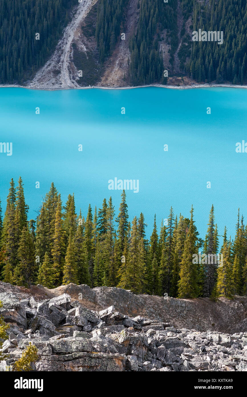 Hell Cyan blaue Wasser des Peyto Lake im Banff National Park, Alberta, Kanada. Stockfoto