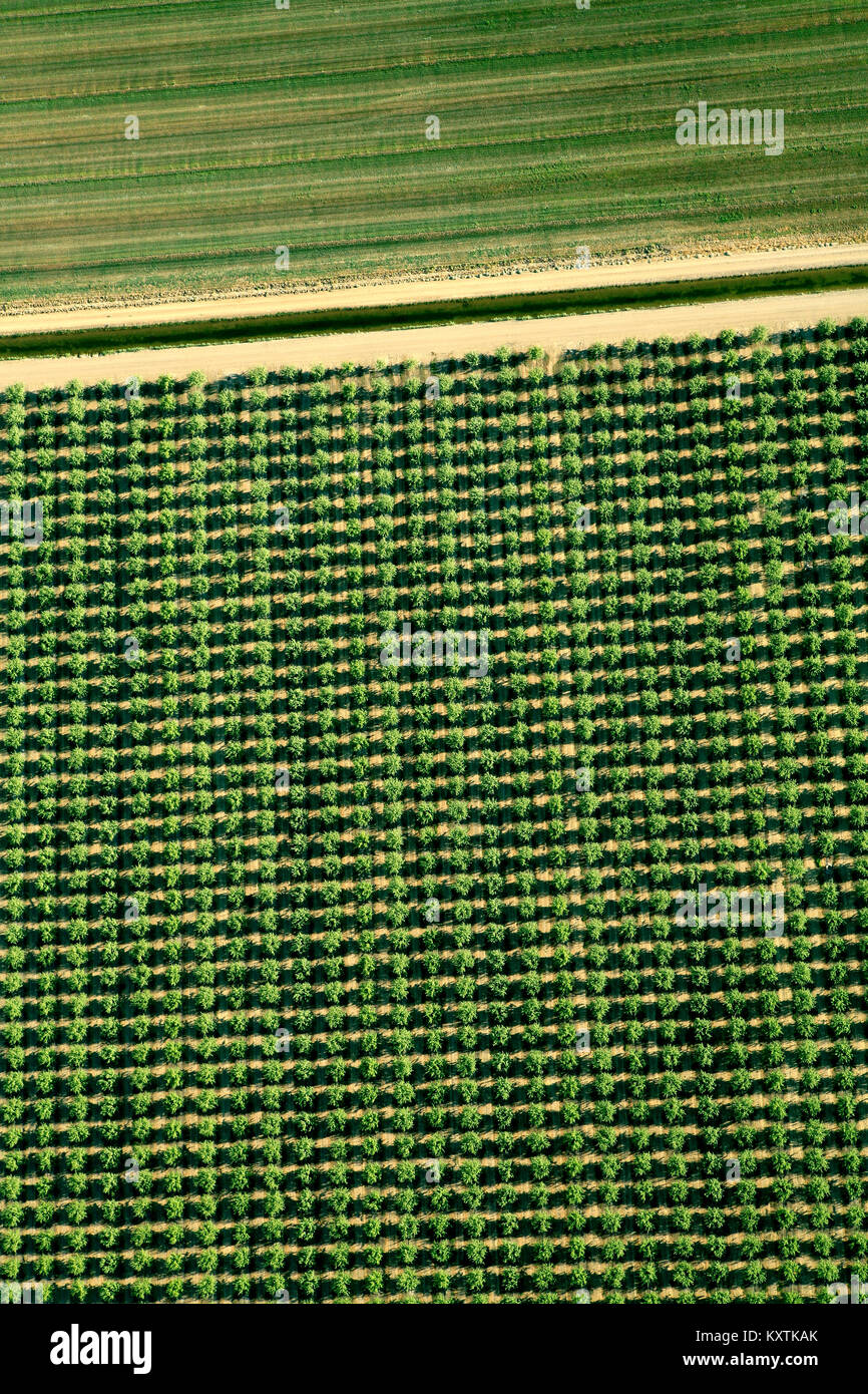 Luftaufnahme über Ackerland in Napa Valley mit Bauern arbeiten. grafische Linien interessante Winkel Grün und Beige Stockfoto