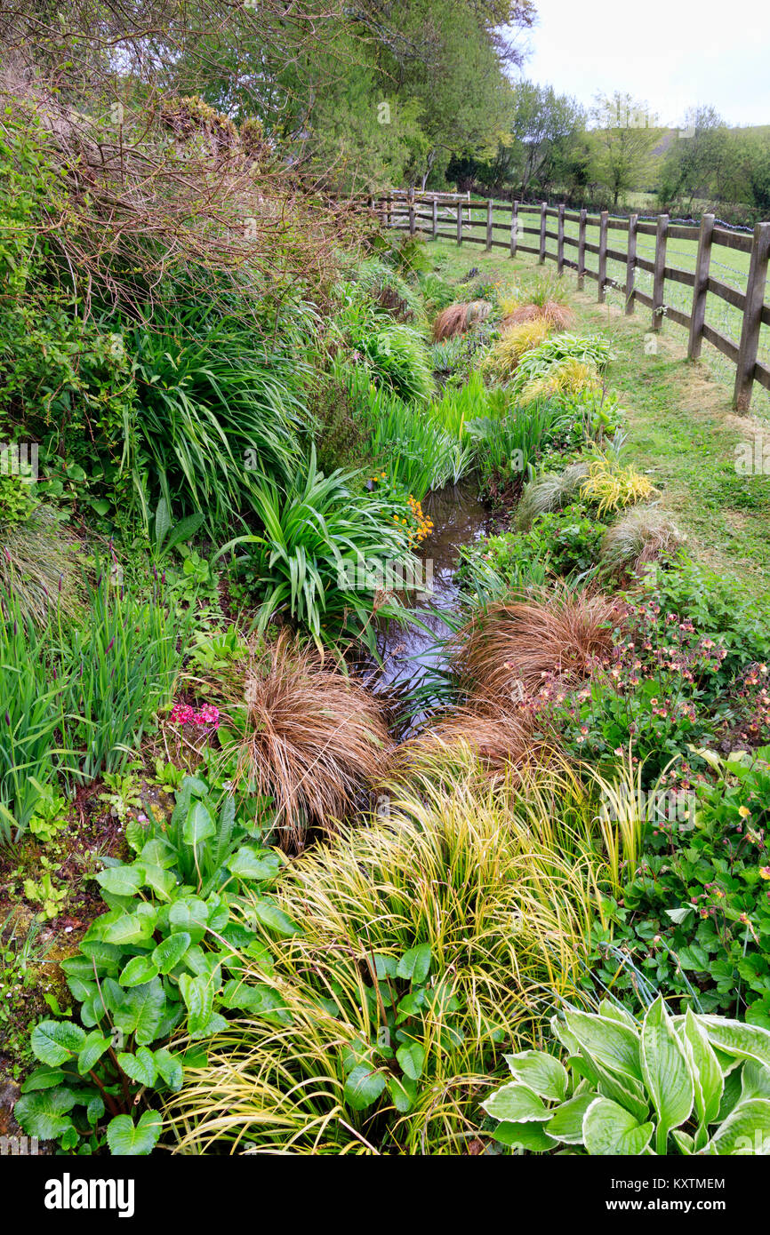 Kontrastierende Laub Farben und Formen in der üppigen Feder graben Pflanzen bei Sutton Mead Garten, Devon, Großbritannien Stockfoto