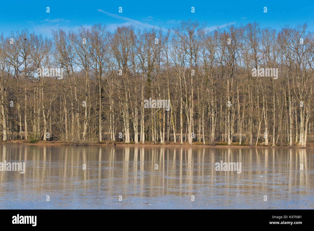 Gefrorenen See im Winter in Loir-et-Cher, Frankreich Stockfoto