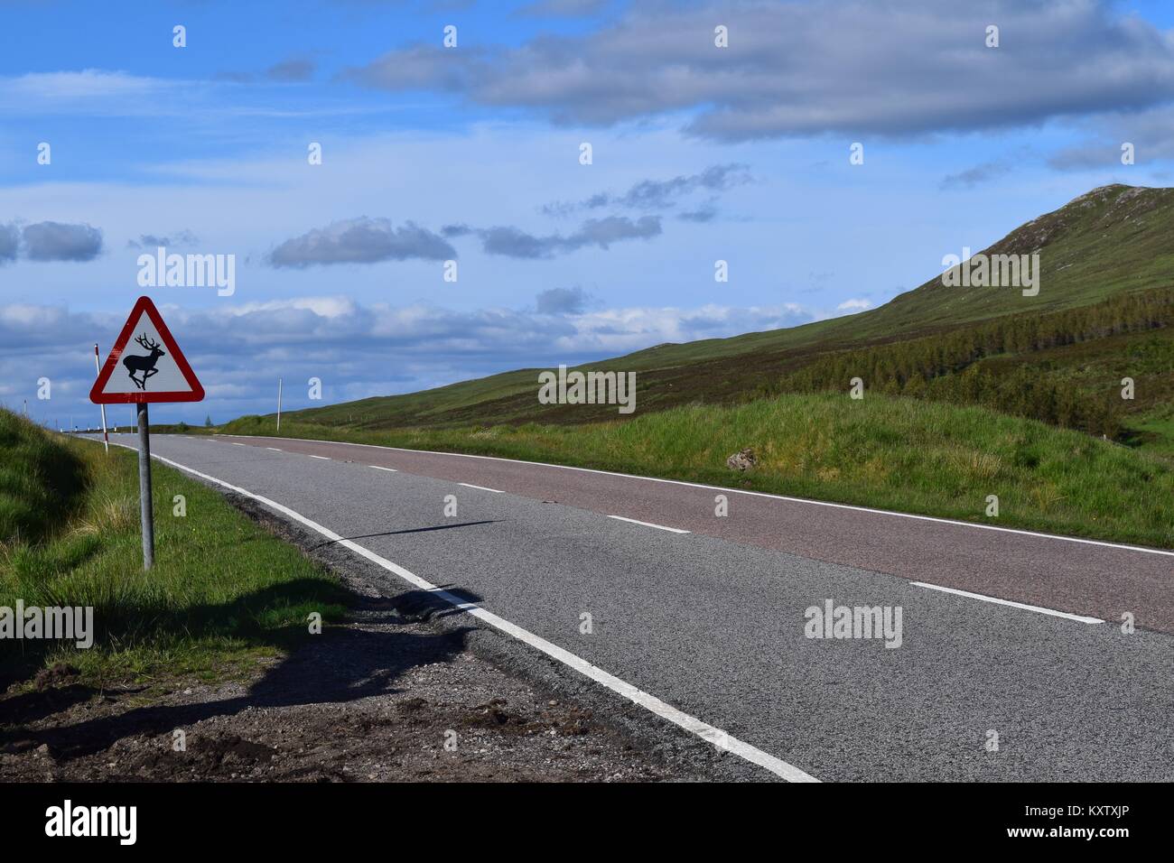 Highland Road, Rotwild Zeichen Stockfoto
