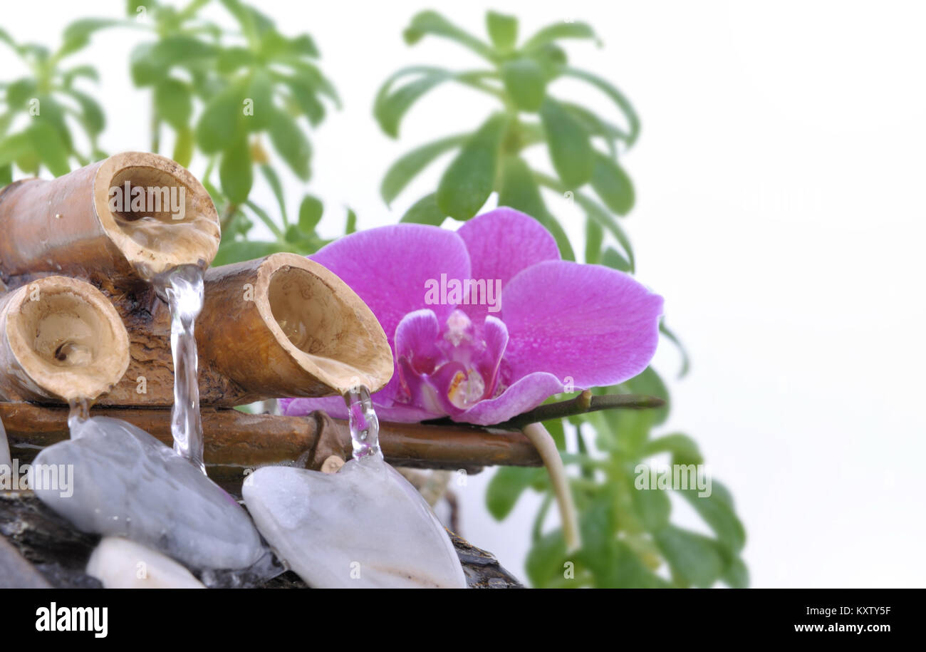 Orchidee auf einem kleinen Brunnen und Herzförmigen Kiesel auf weißem Hintergrund Stockfoto