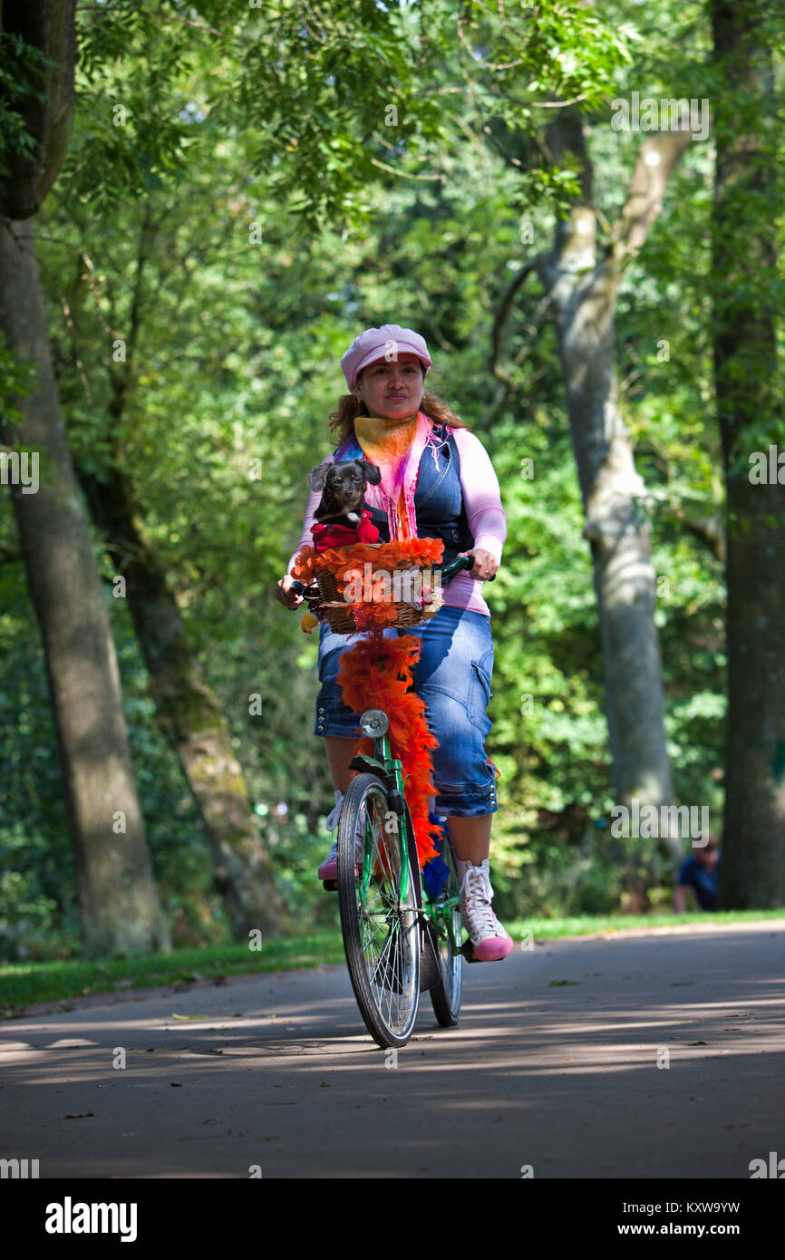 Die Niederlande, Amsterdam, Frau während der jährlichen Parade von Hunden auf dem Fahrrad Hondjesparade genannt. Stockfoto