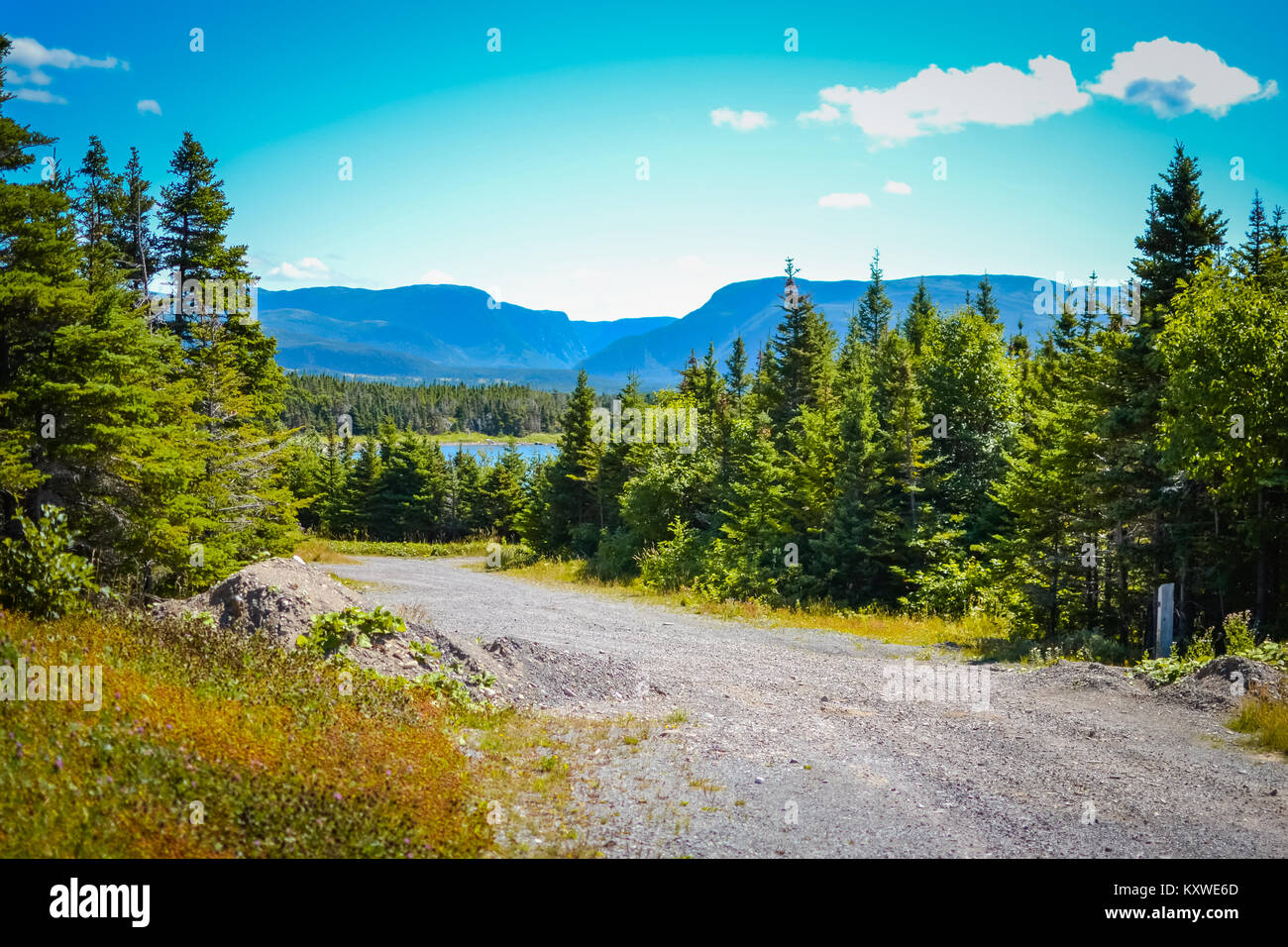 Neufundland - Kanada - AUGUST 2014: Sommer in Neufundland Stockfoto