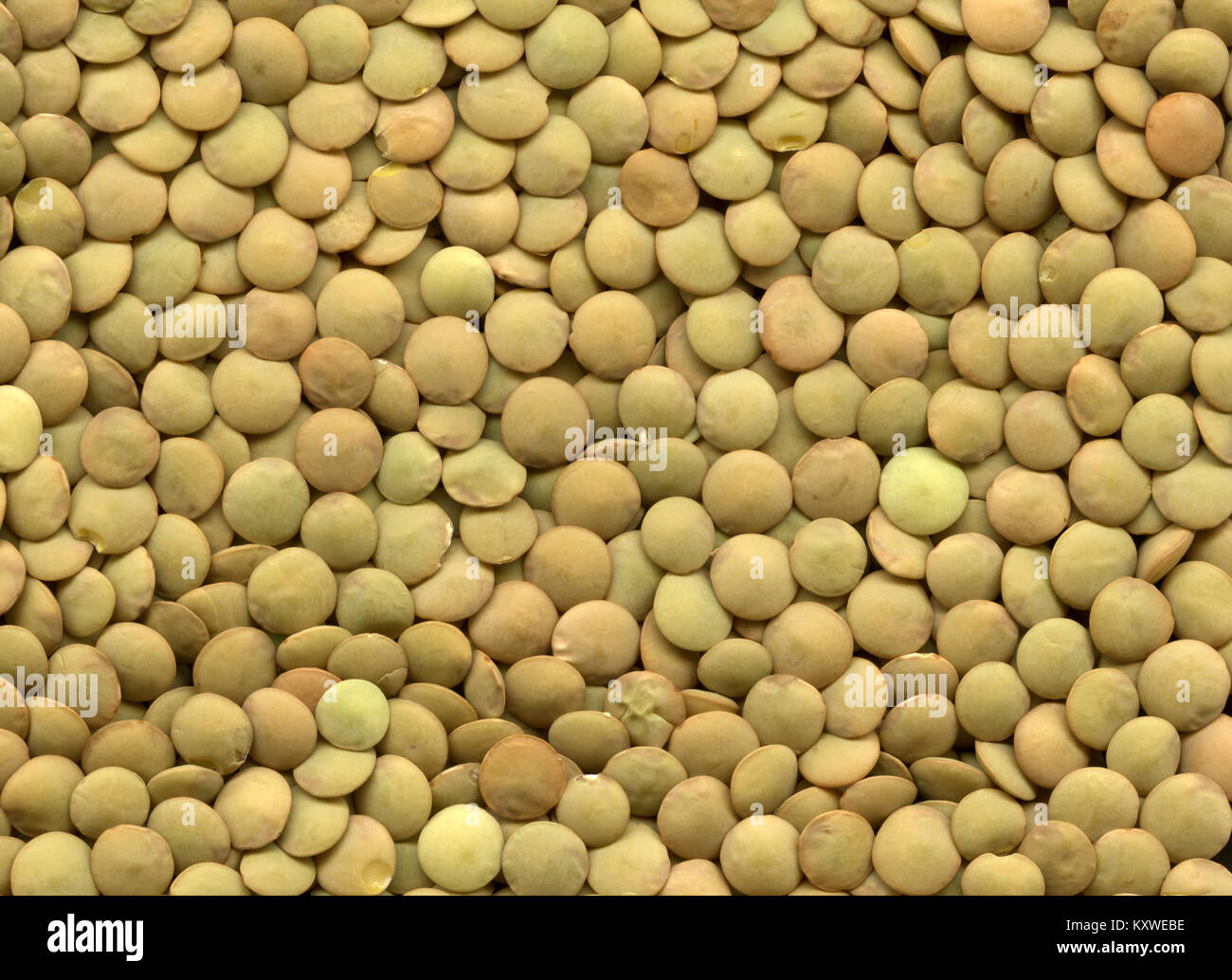 Linsen hautnah Stockfoto