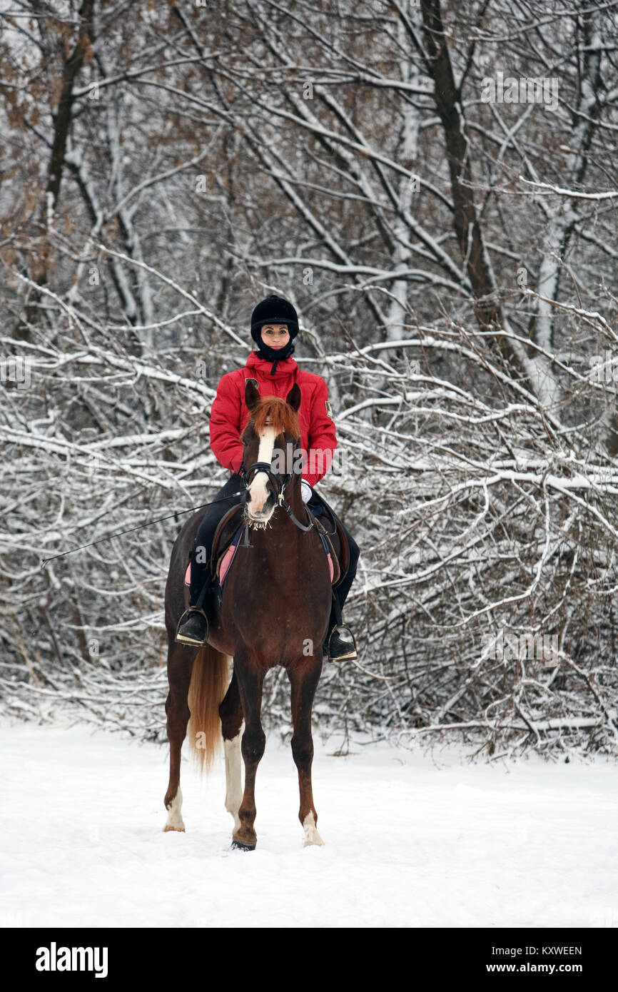 Pretty Woman reiten ihr Pferd durch Schnee an Weihnachten Morgen Stockfoto