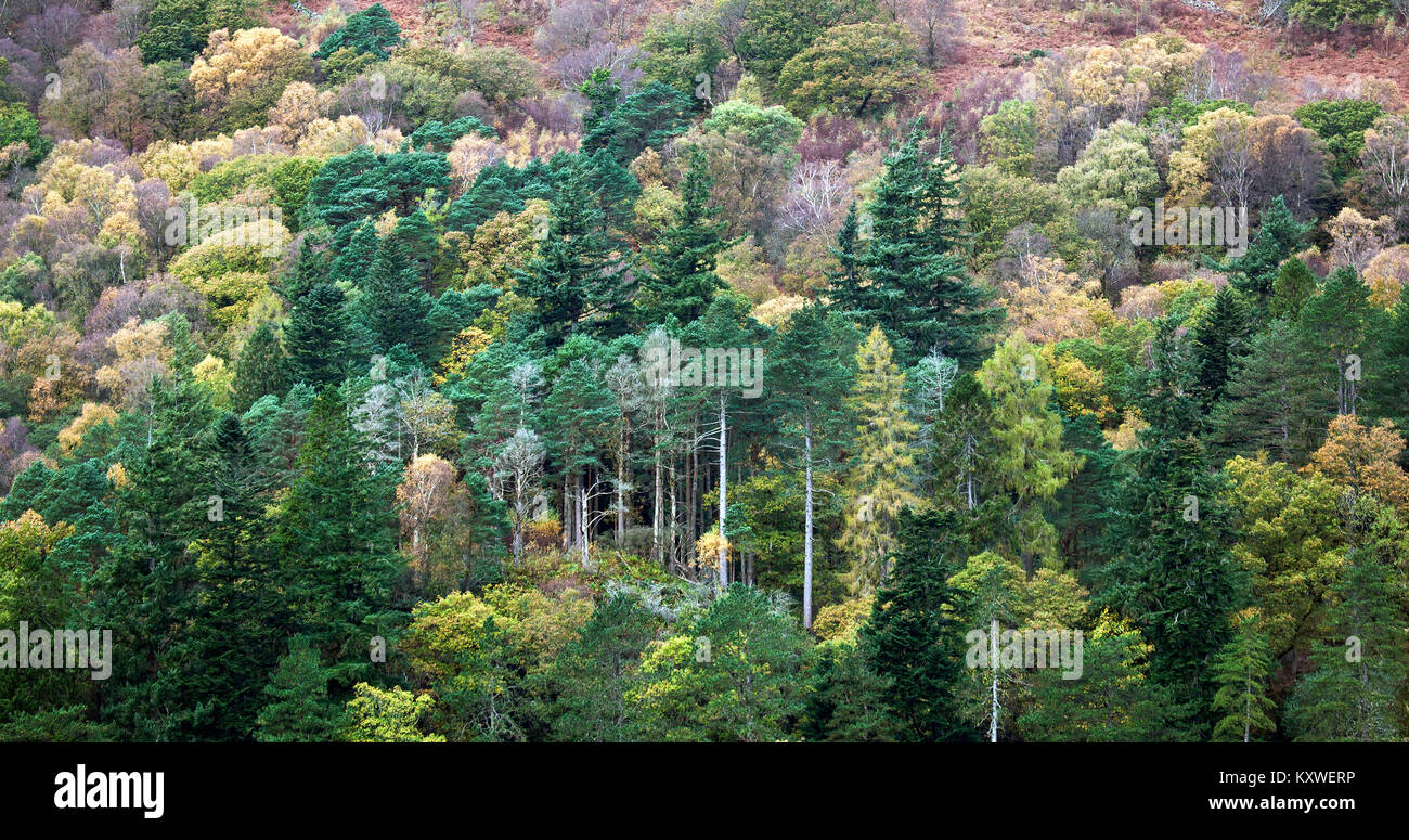 Atemberaubende Aussicht auf die Herbstfarbe von der Aussichtsplattform über der Sygun Copper Mine i Nantgwynant Valley Beddgelert Snowdonia National Park Stockfoto