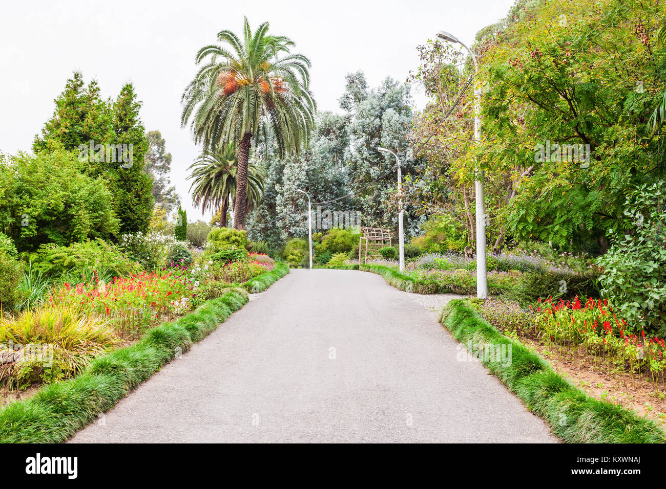 BATUMI, Georgien - 22. SEPTEMBER 2015: Der Botanische Garten in der Nähe von Batumi Batumi, Georgien. Stockfoto