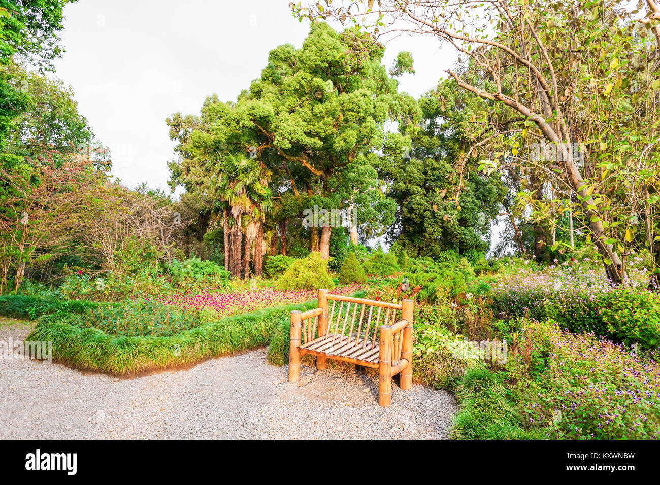 BATUMI, Georgien - 22. SEPTEMBER 2015: Batumi Botanischer Garten ist in der Nähe von Batumi, Adscharien Region Georgiens befindet. Stockfoto