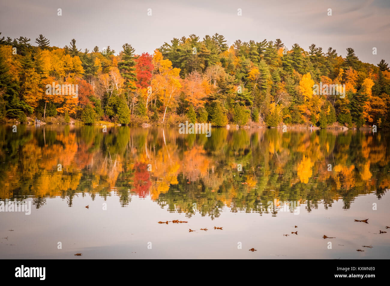 GATENAU, Quebec/KANADA - 21. OKTOBER 2017: HERBST BLICK AUF OTTAWA WERT Stockfoto